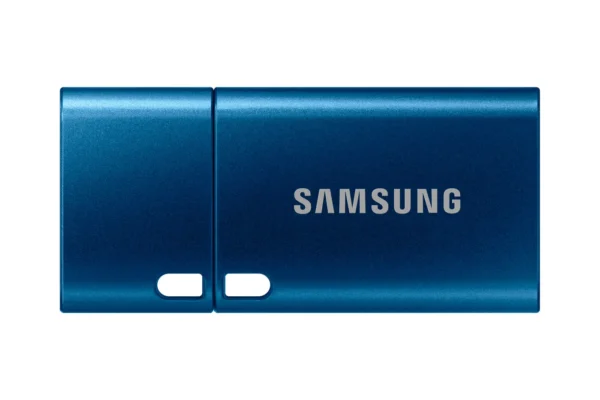 Samsung MUF-256DA USB флаш памет 256 GB UBS тип C 3.2 Gen 1 (3.1 Gen 1) Син — MUF-256DA/APC