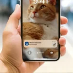 Philips 5000 series Интелигентна хранилка с камера от серията за домашни любимци на (PAW5320/02)